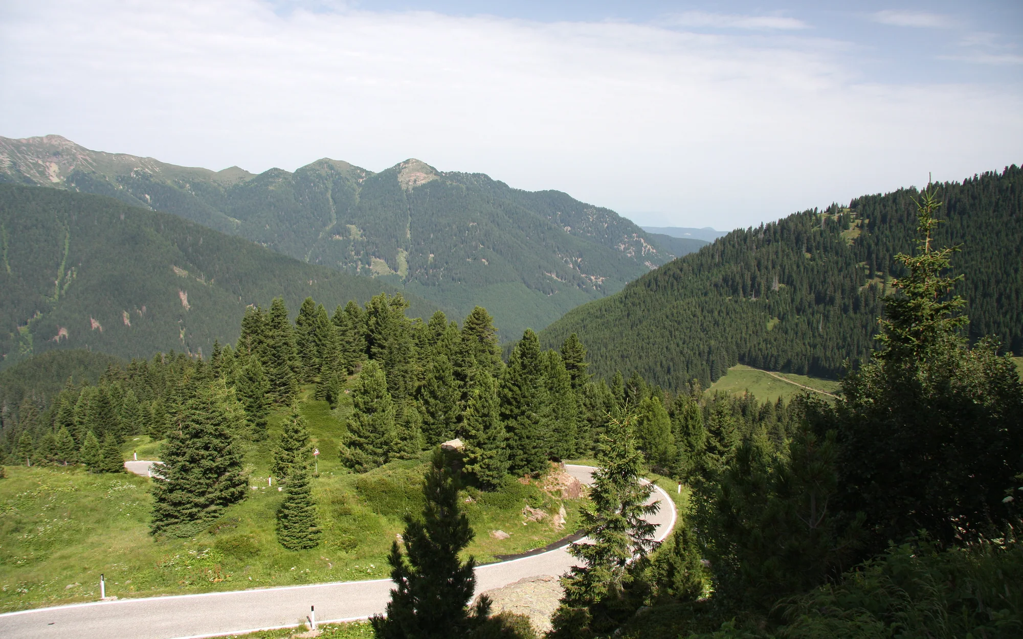 Nordseite des Passo Manghen in der Lagorai-Gruppe